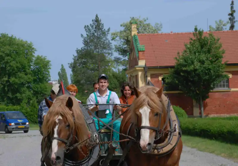 Agropodnikání