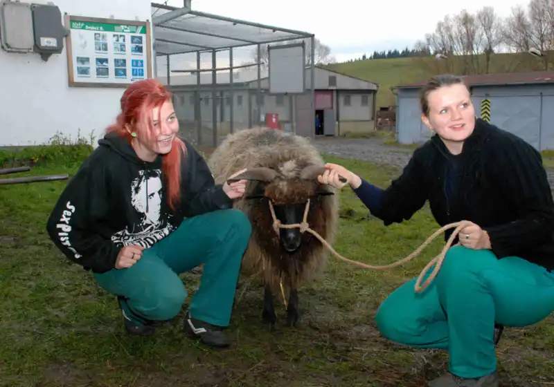 Agropodnikání