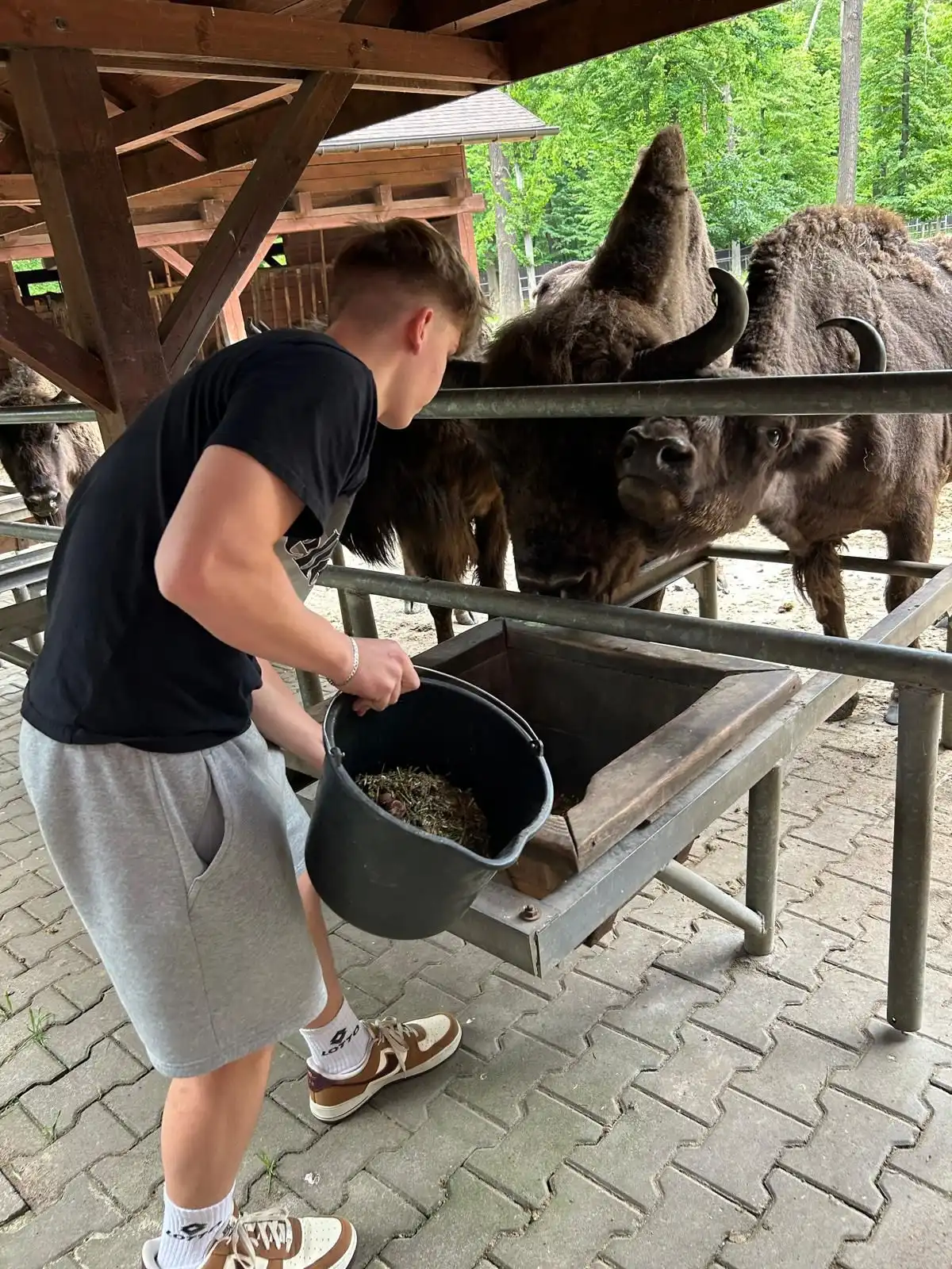Odborná exkurze