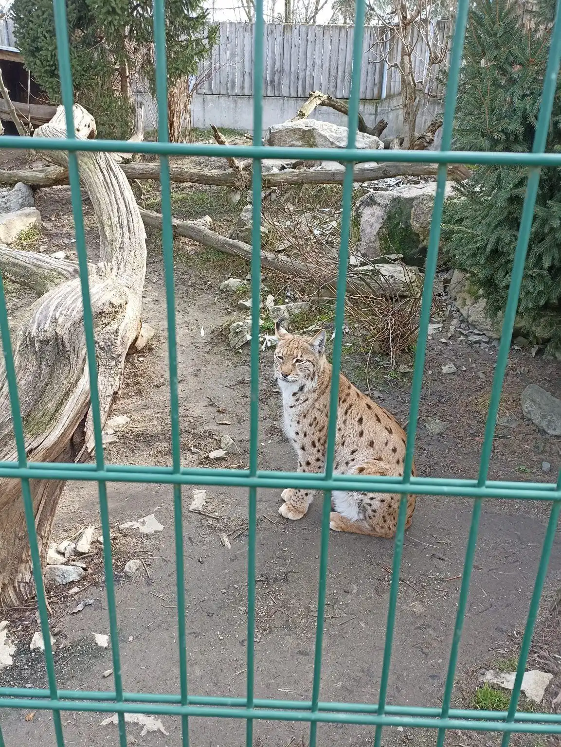 ZOO-Hluboka